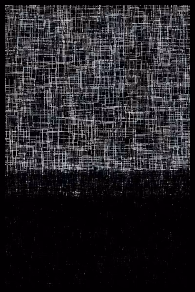 Dualism #1