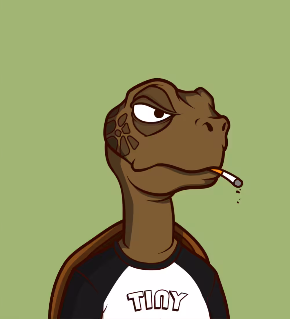 Tiny Turtle 216
