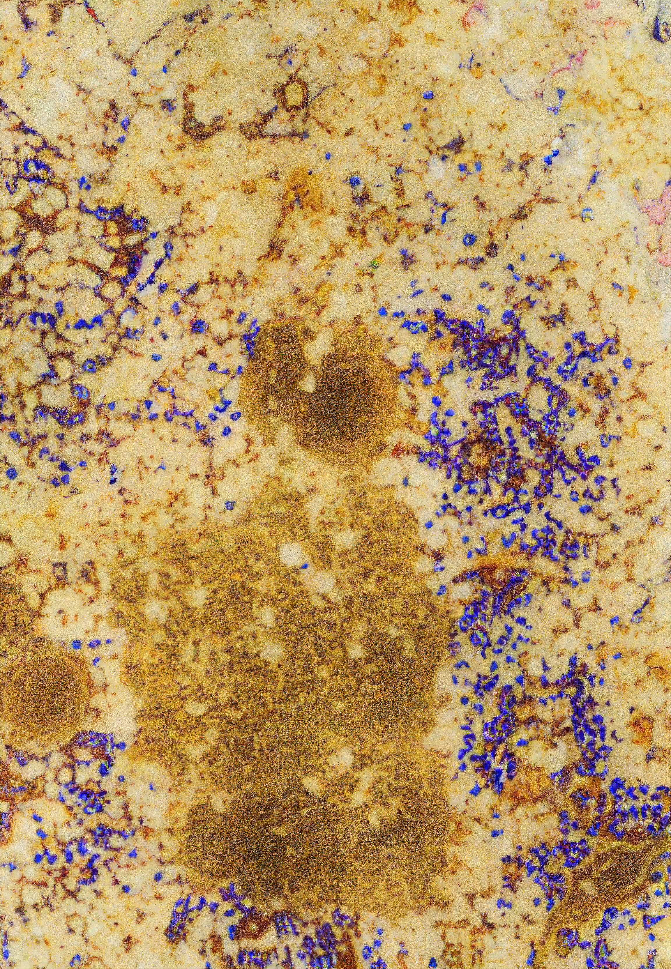 Histologia In Silico #53
