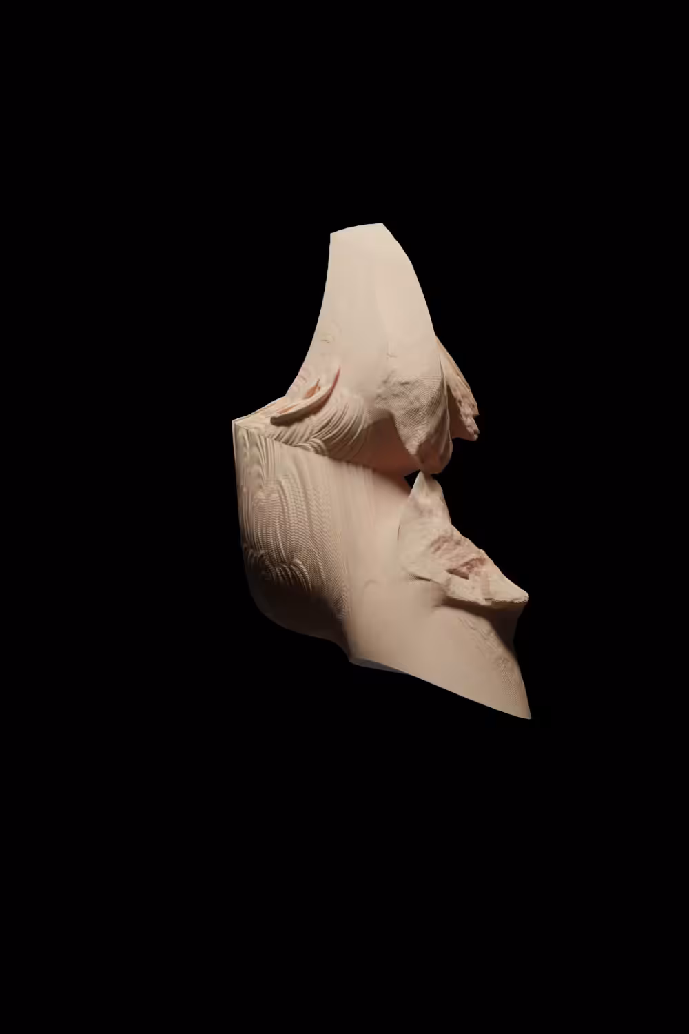 4-Dimensional Head