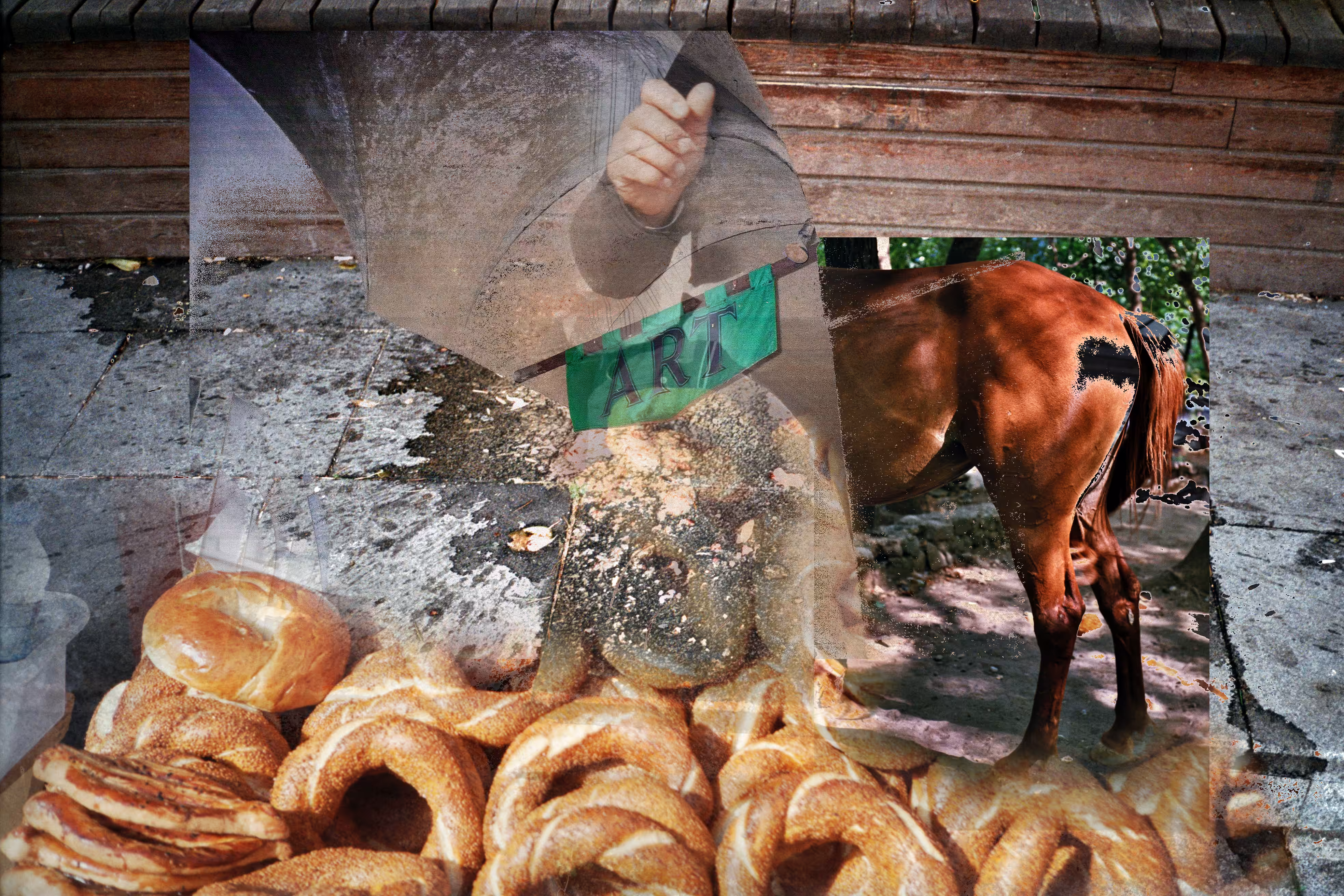 holes to horse