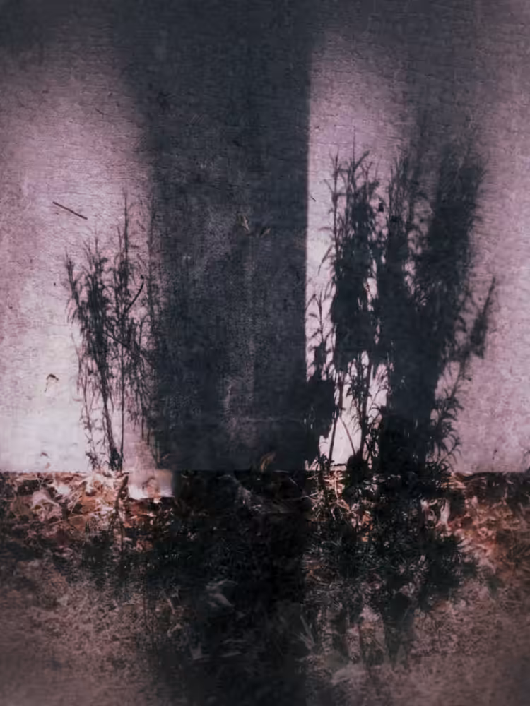 Inverted shadows