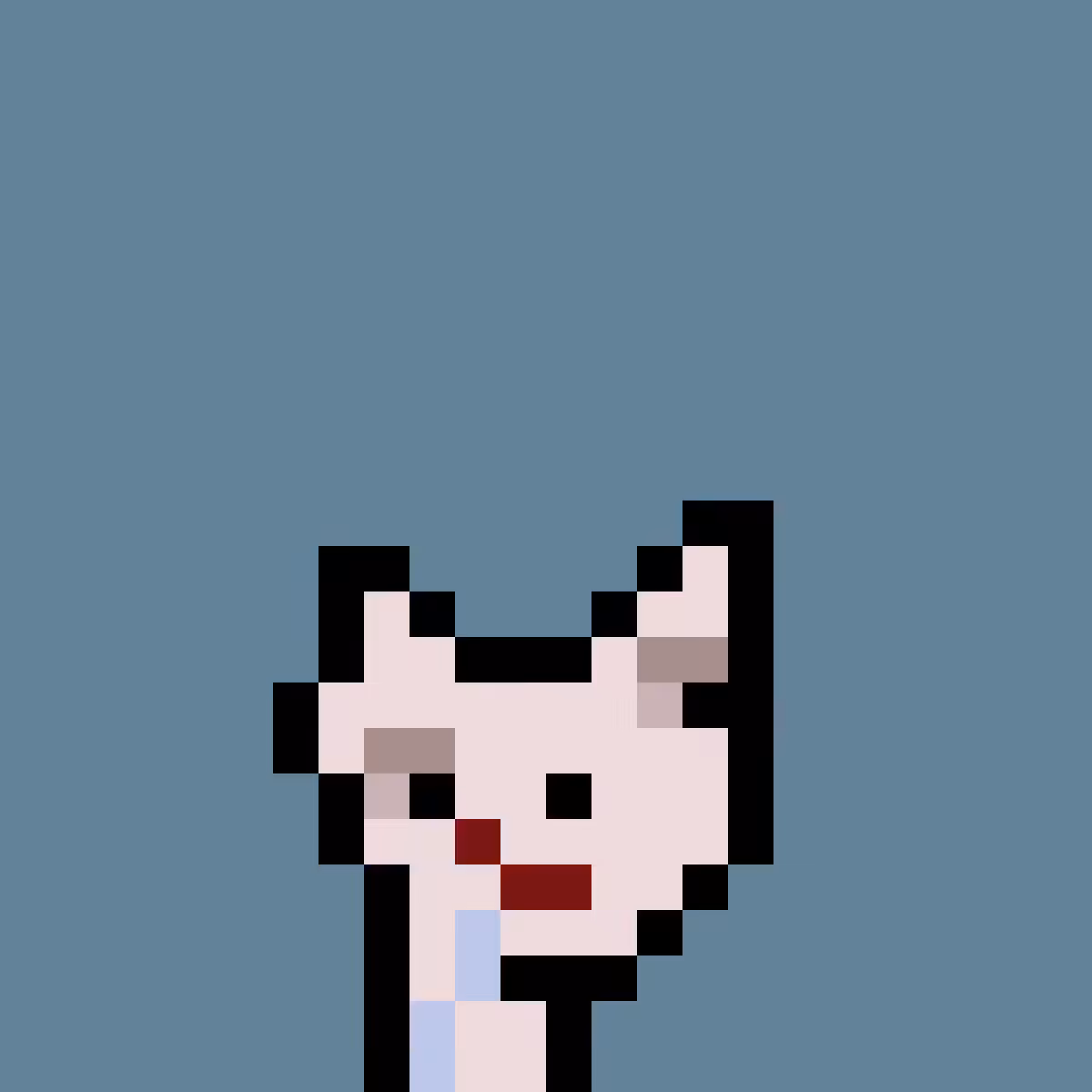 PNUKS #4153