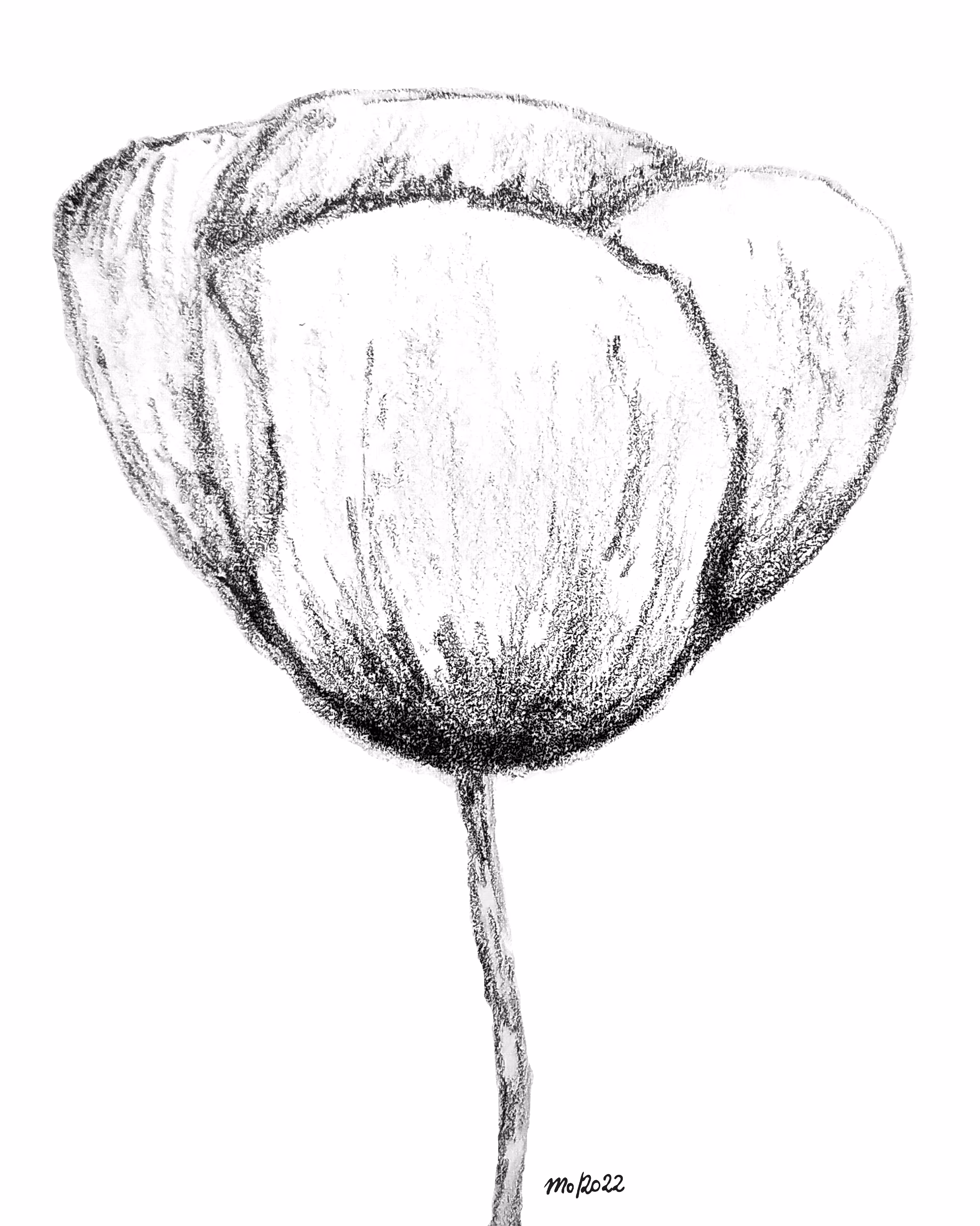 A Flower for you