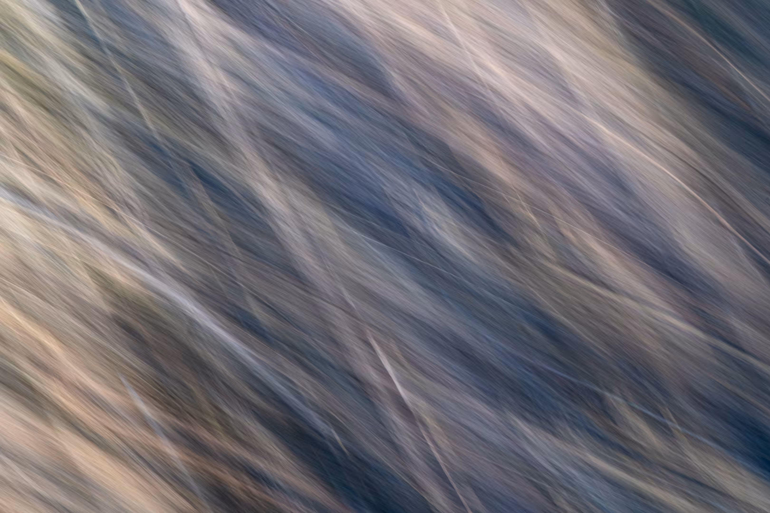 The Ghosts of Elowah #30