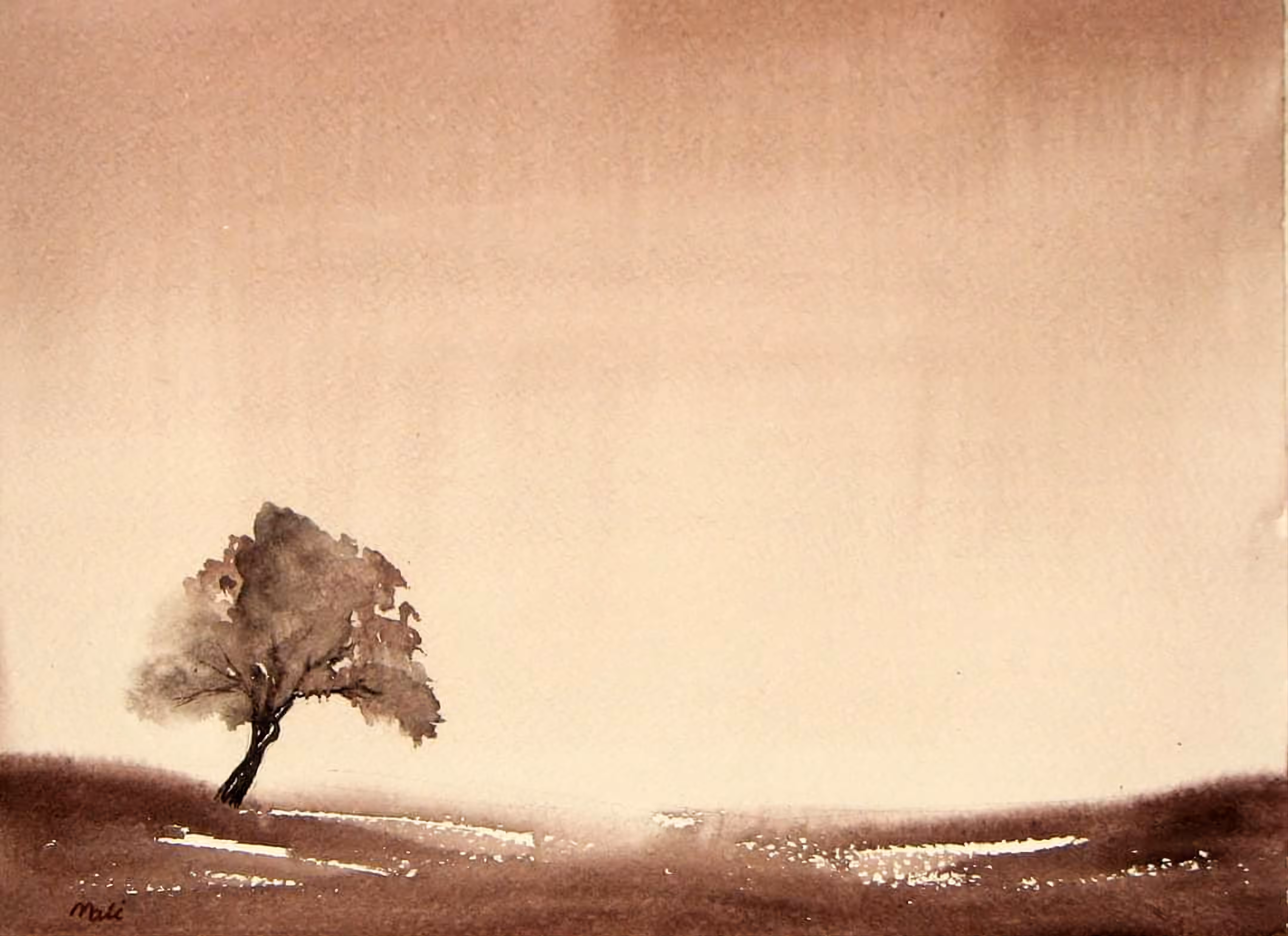 The fragile solitude 