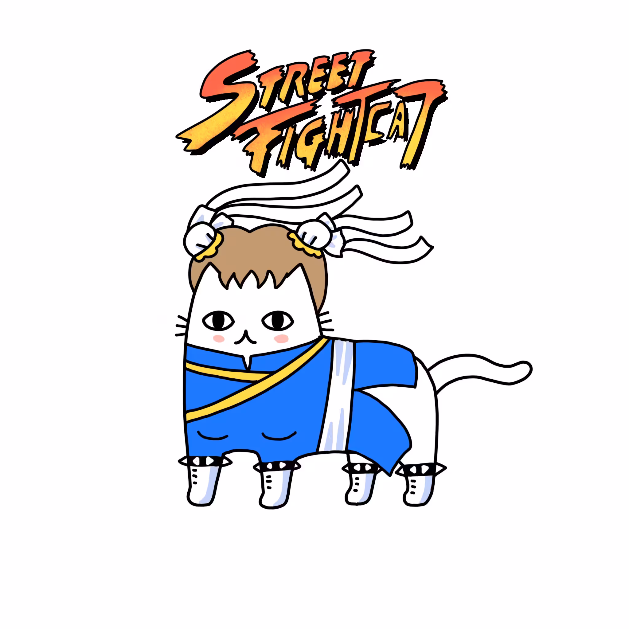 No.47 street fightcat
