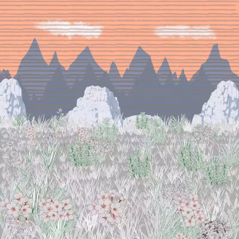 Mountain Meadows #6