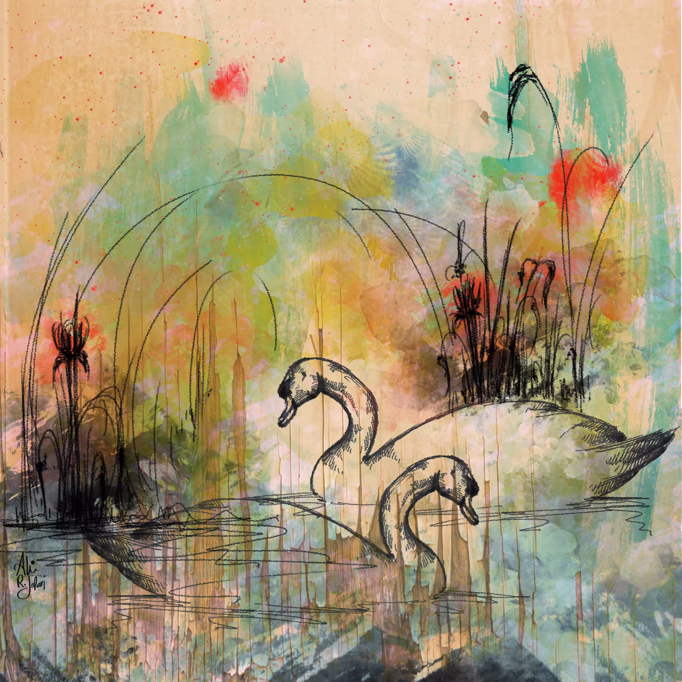 swans in love