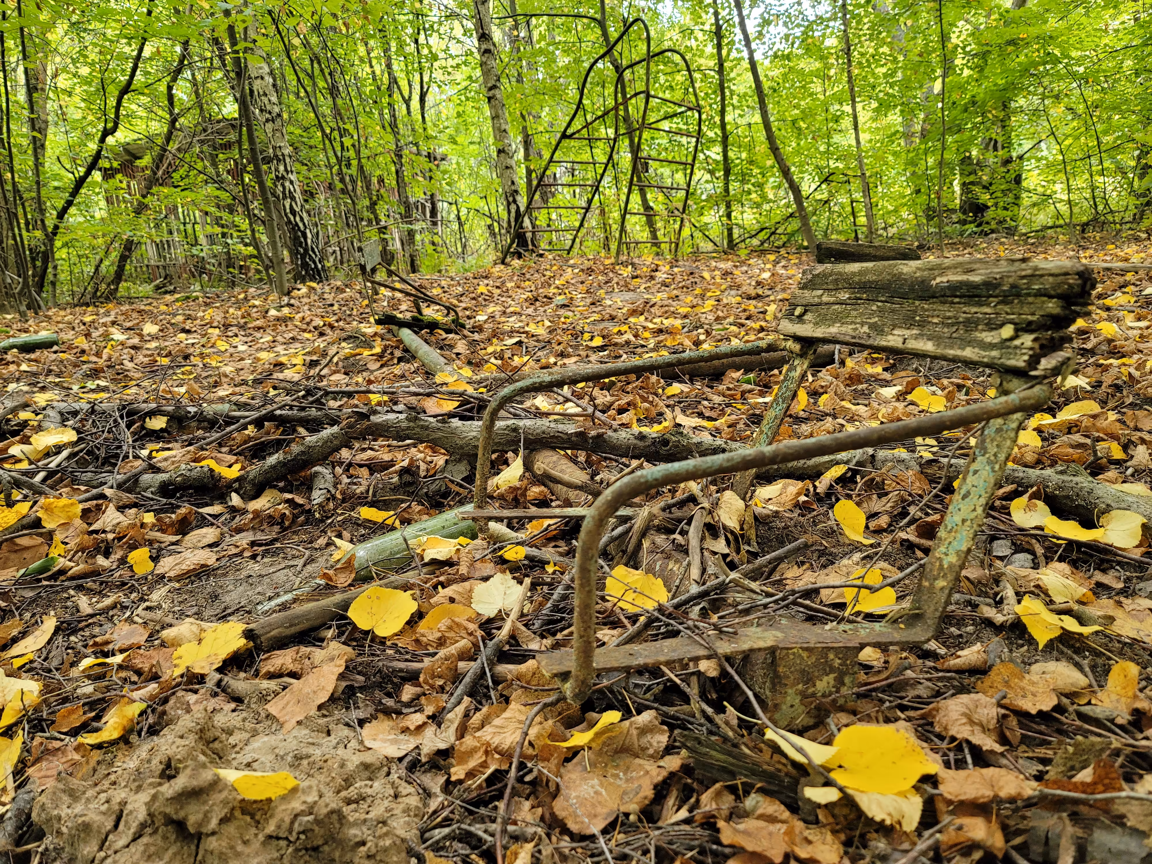 Nature's Playground
