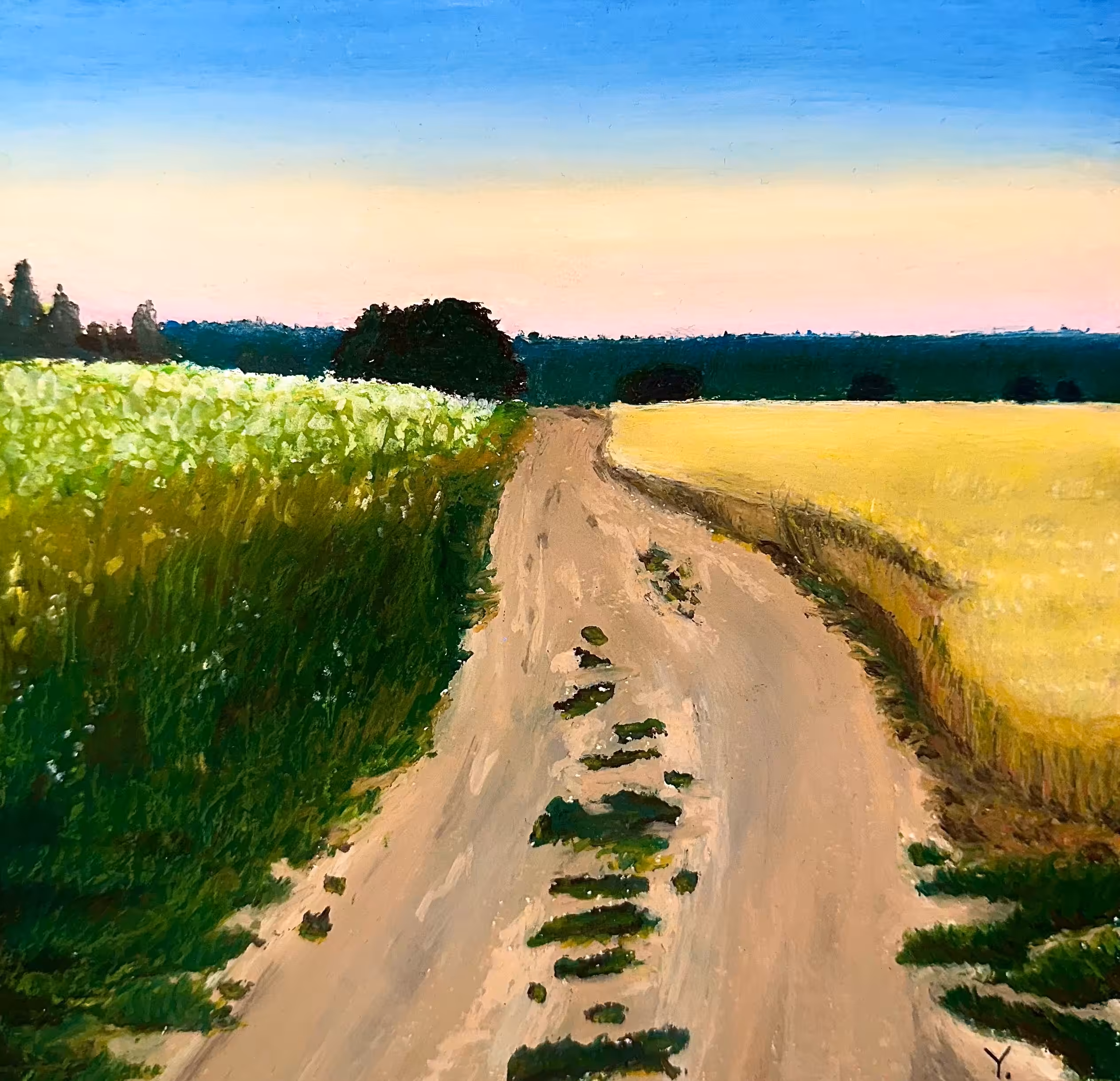 Path through the field