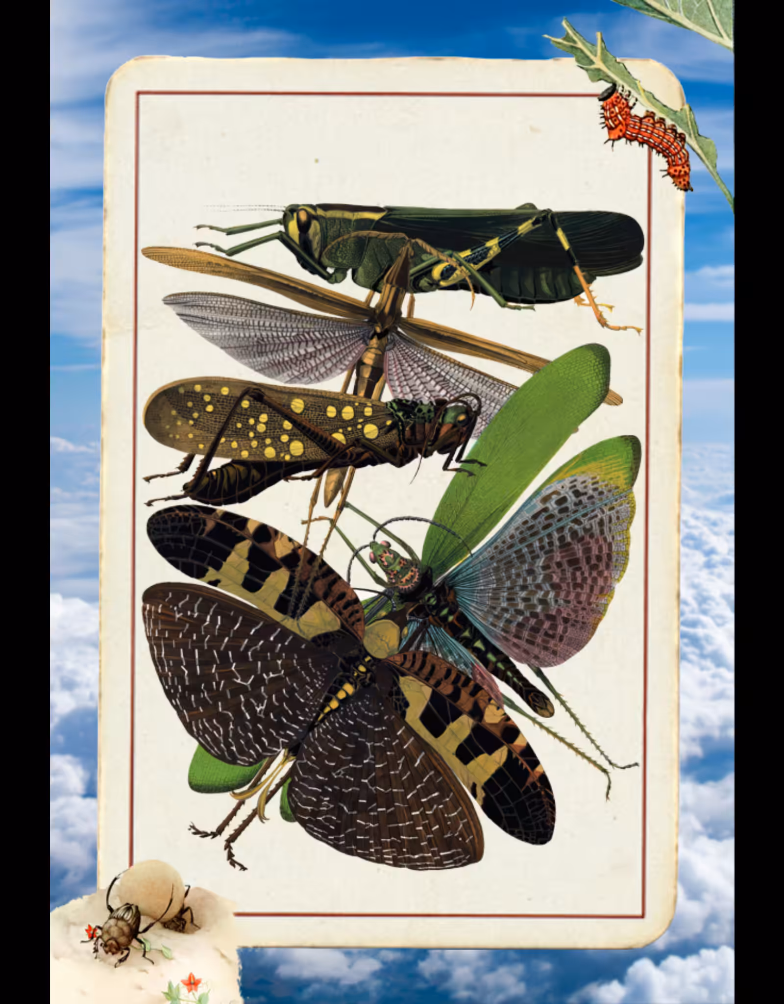 Paper Bugs #4