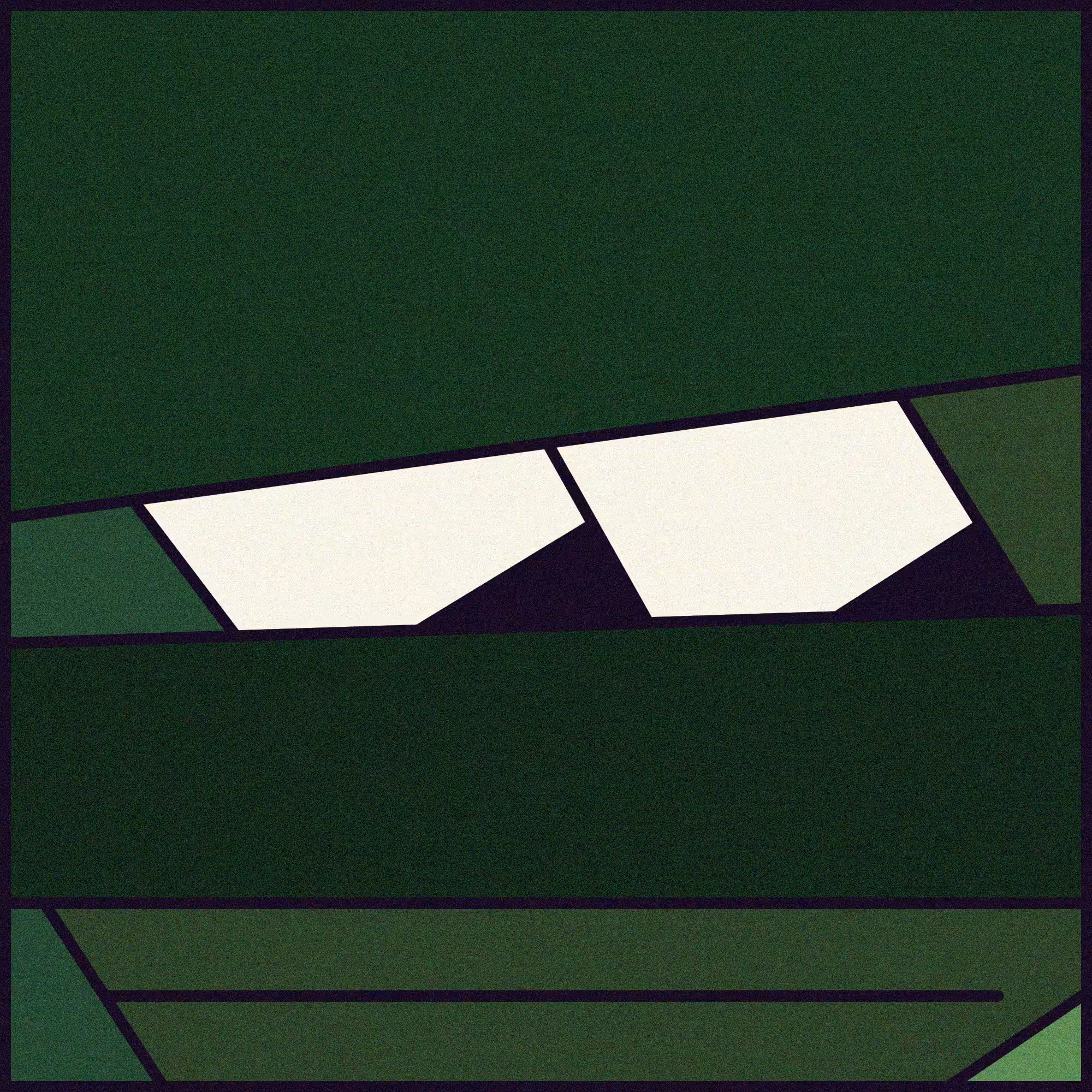 The Face #48