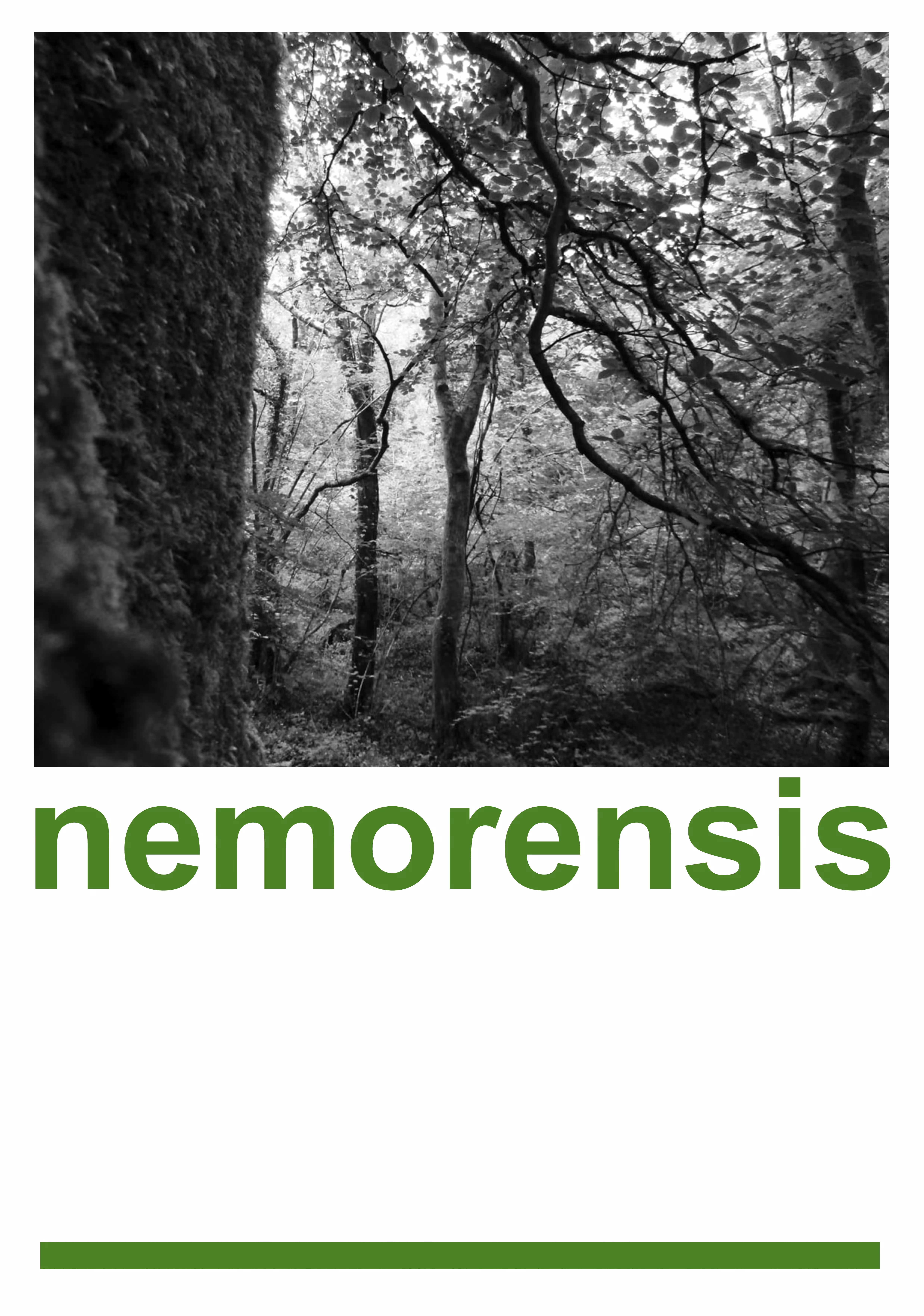 Nemorensis