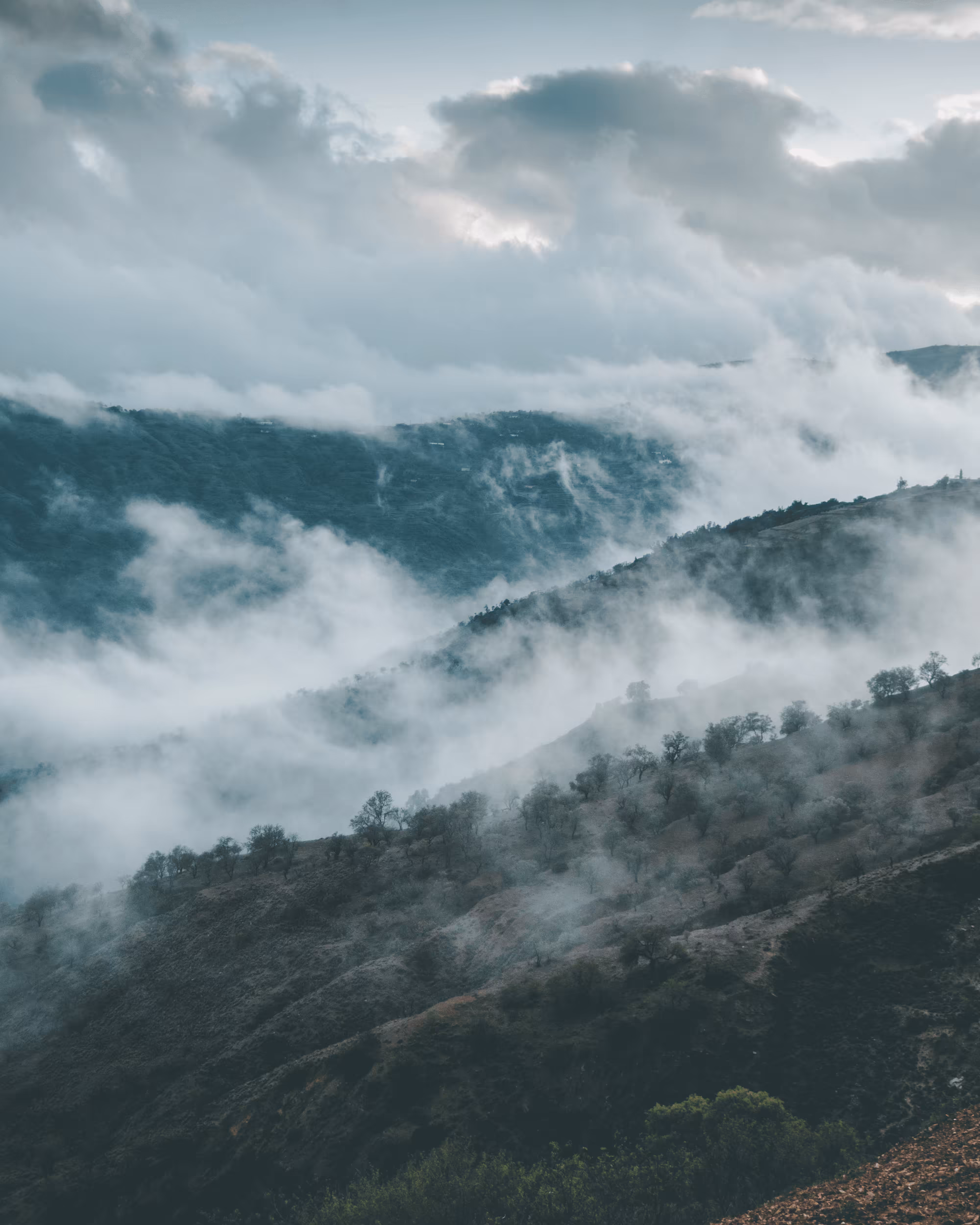 Foggy day