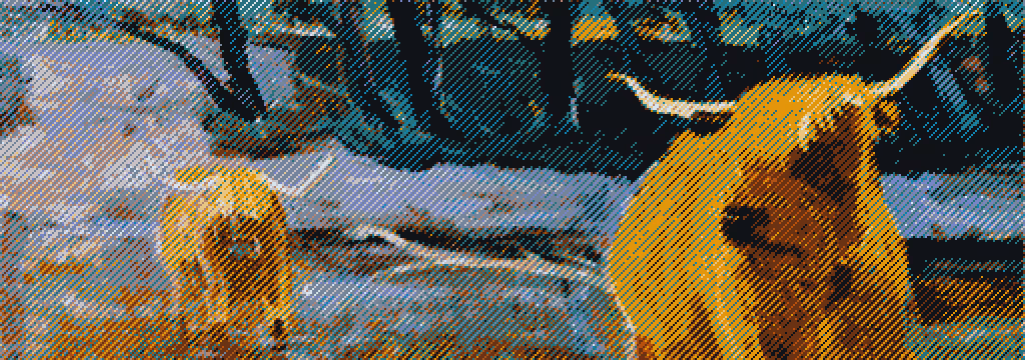 The paintings of clifford john todd: The Highland cows continued
