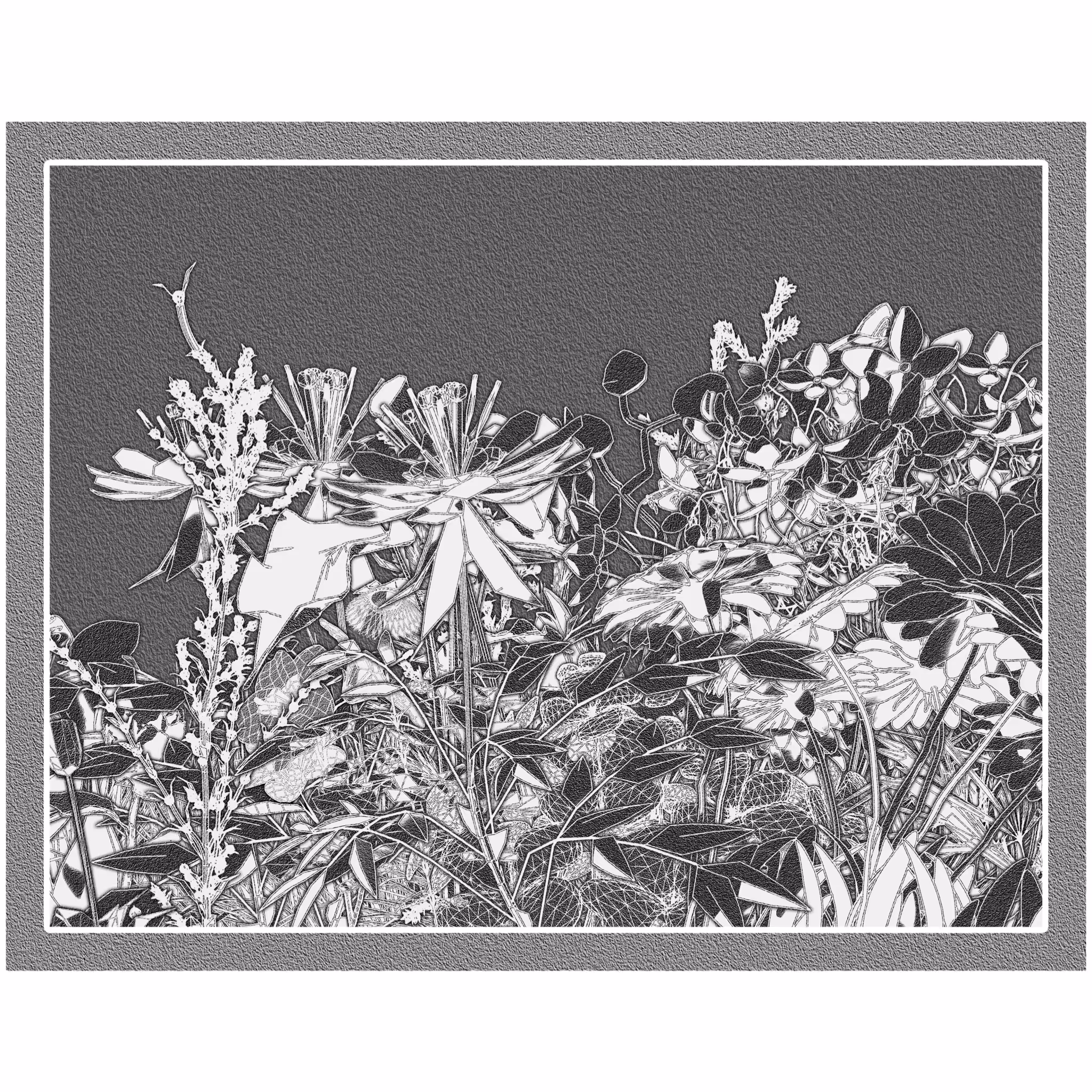 Flower View #170