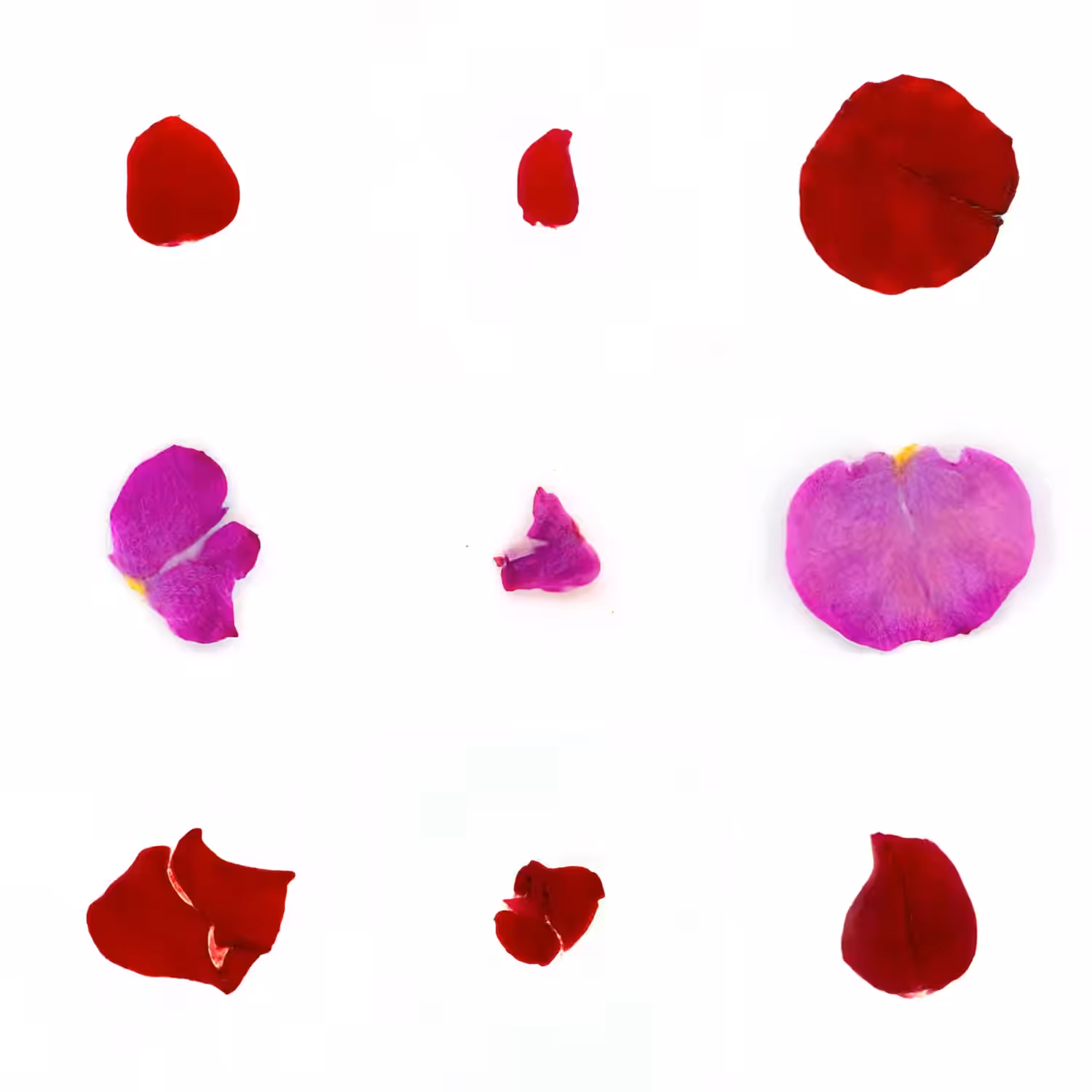 Infinite Petals 3x3#3242