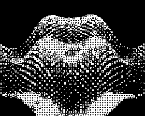 wWwWwWw