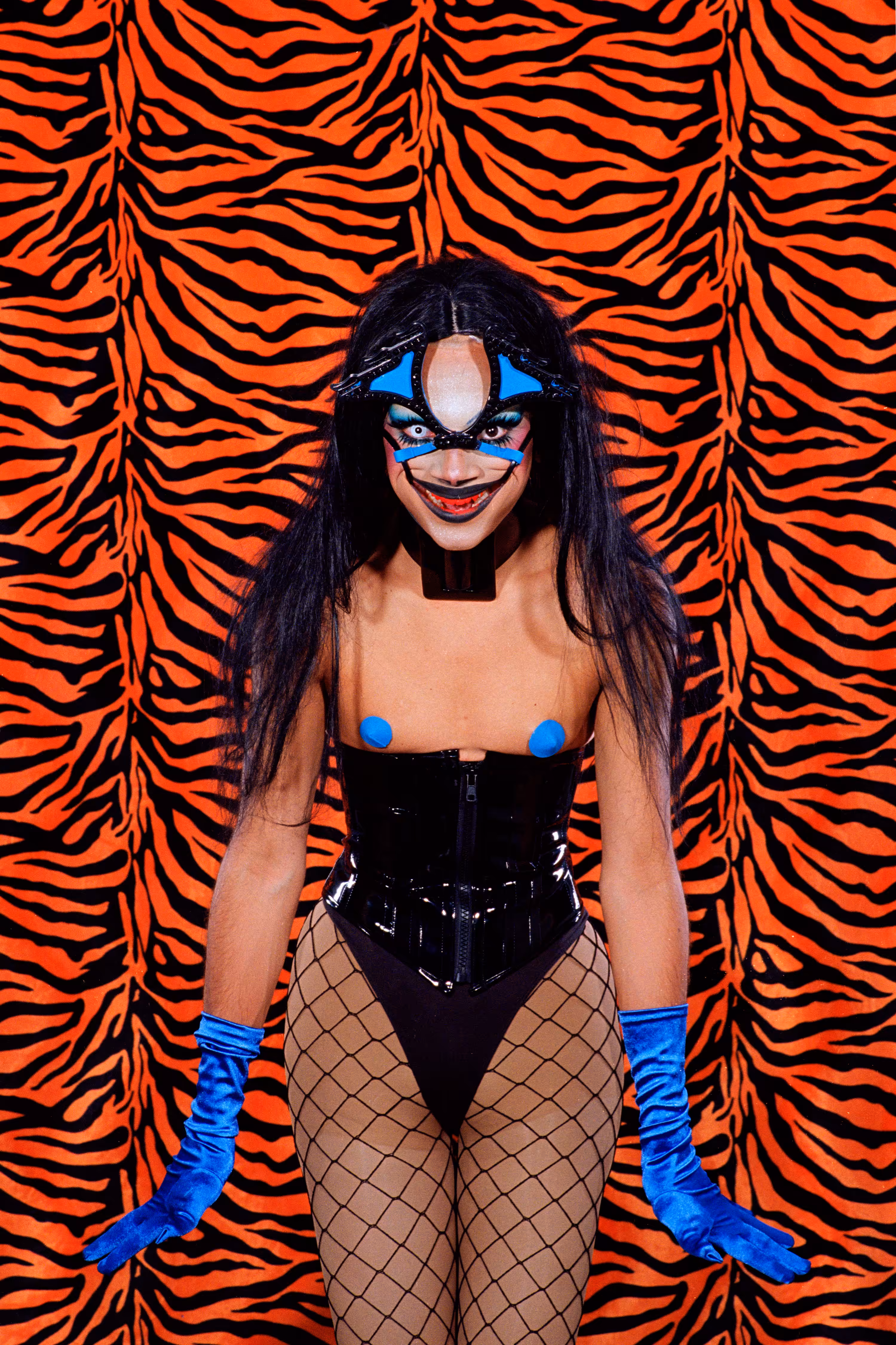ICONS - Tigre / Shigo