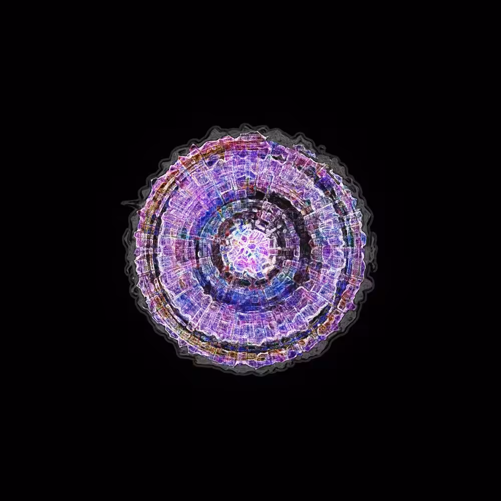 Single Cell