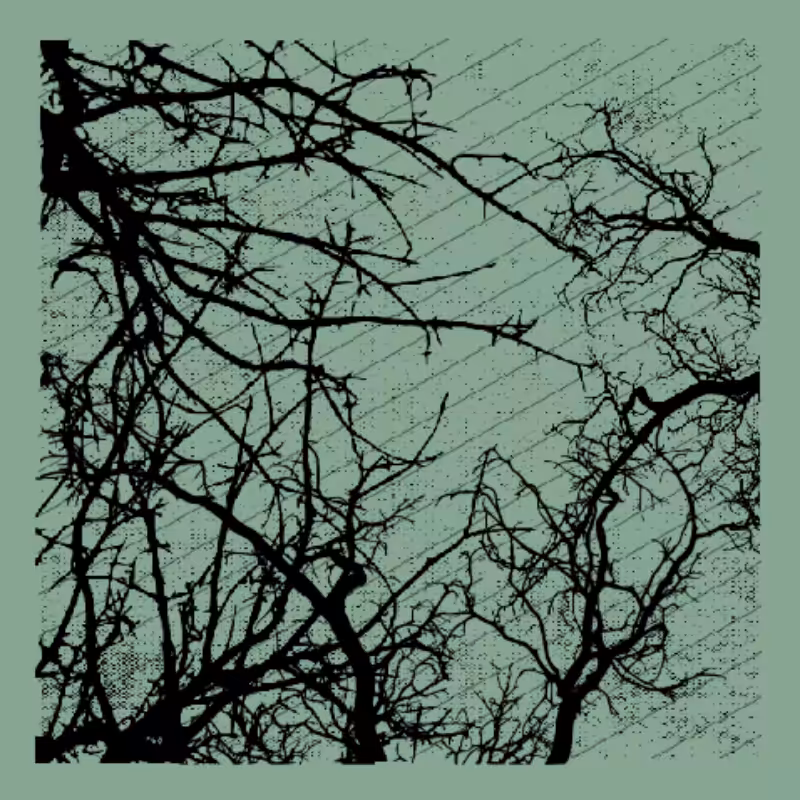 Forest of Shadows #23