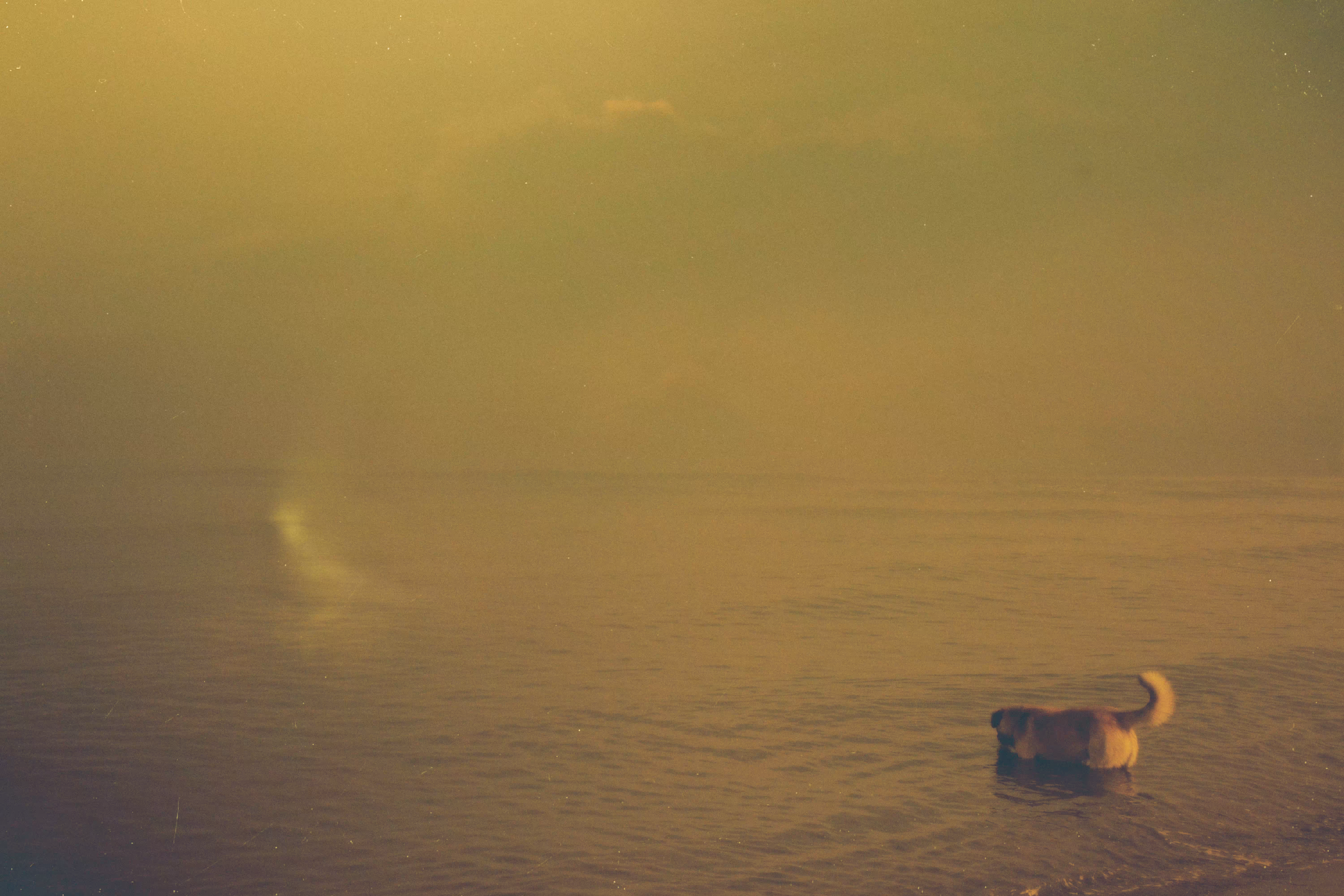 Dissolving Territory 