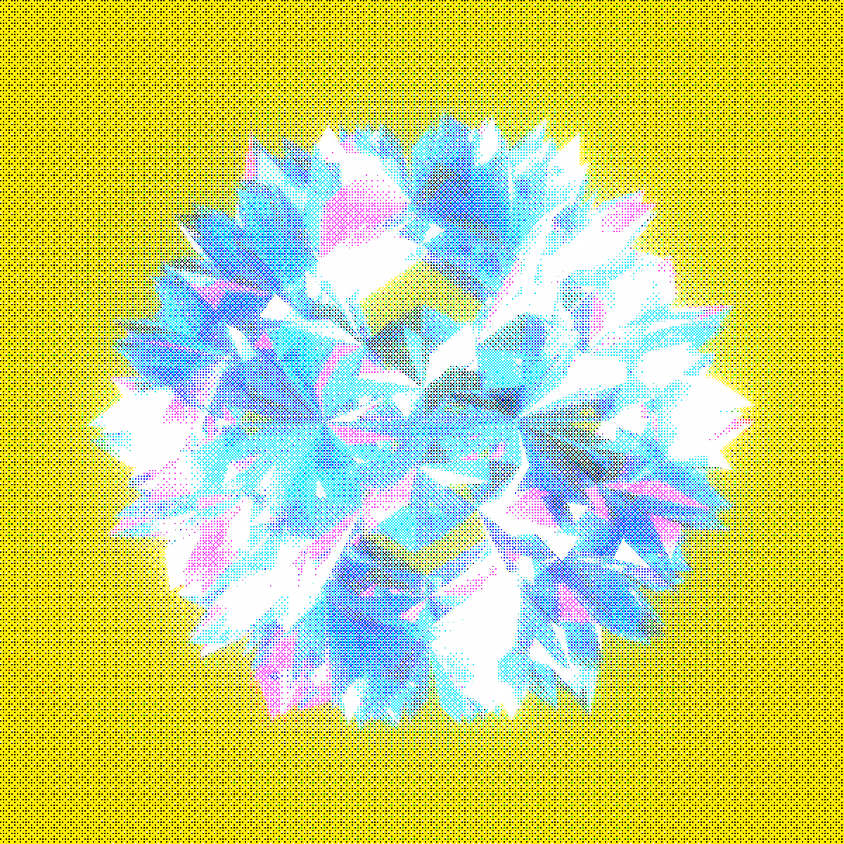 Crystalyx #43
