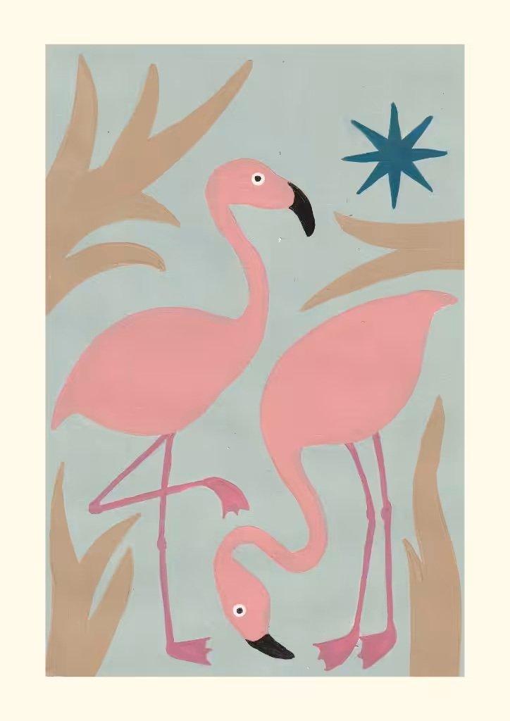 flamingos