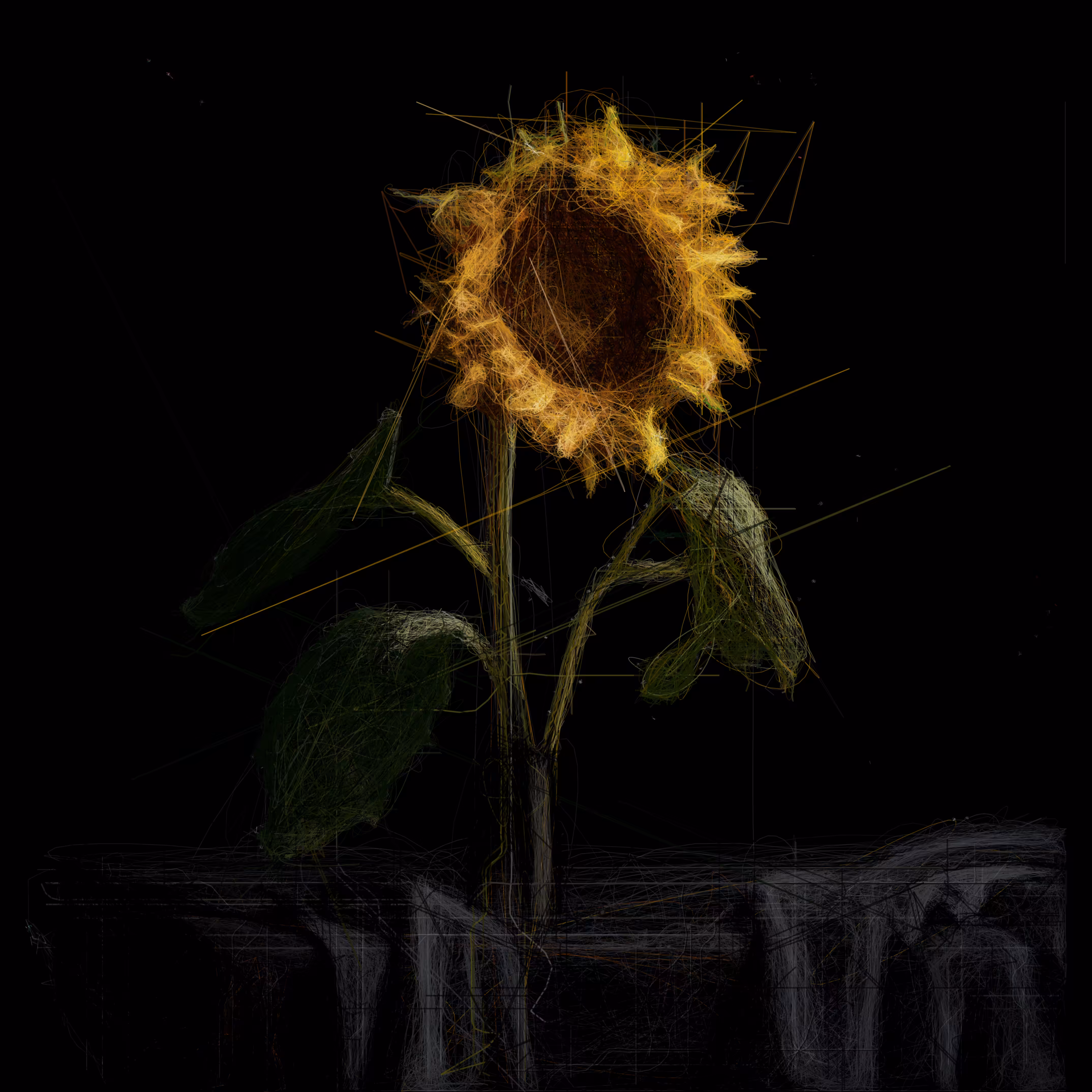 Sunflower II