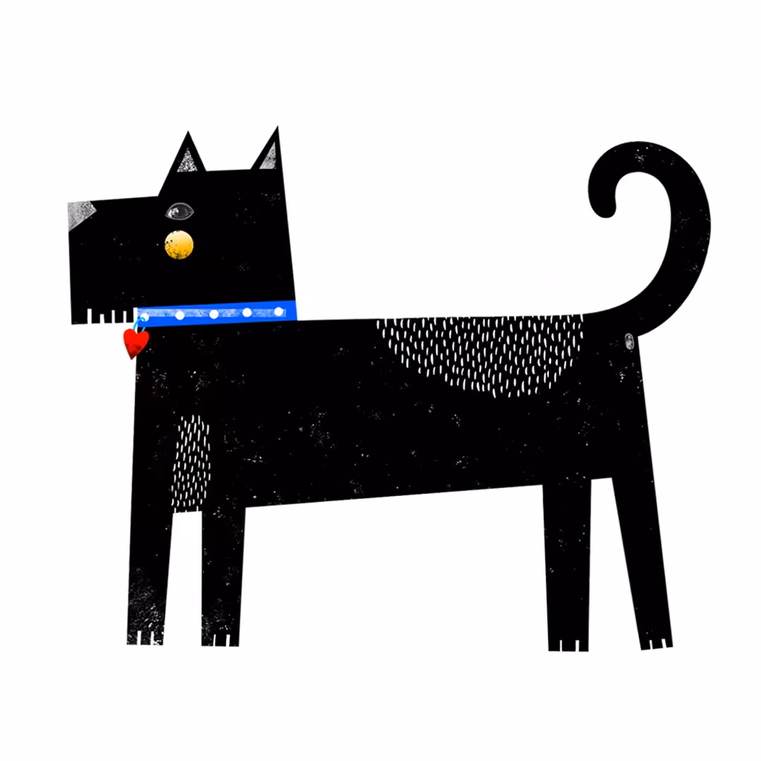 Mr Dog