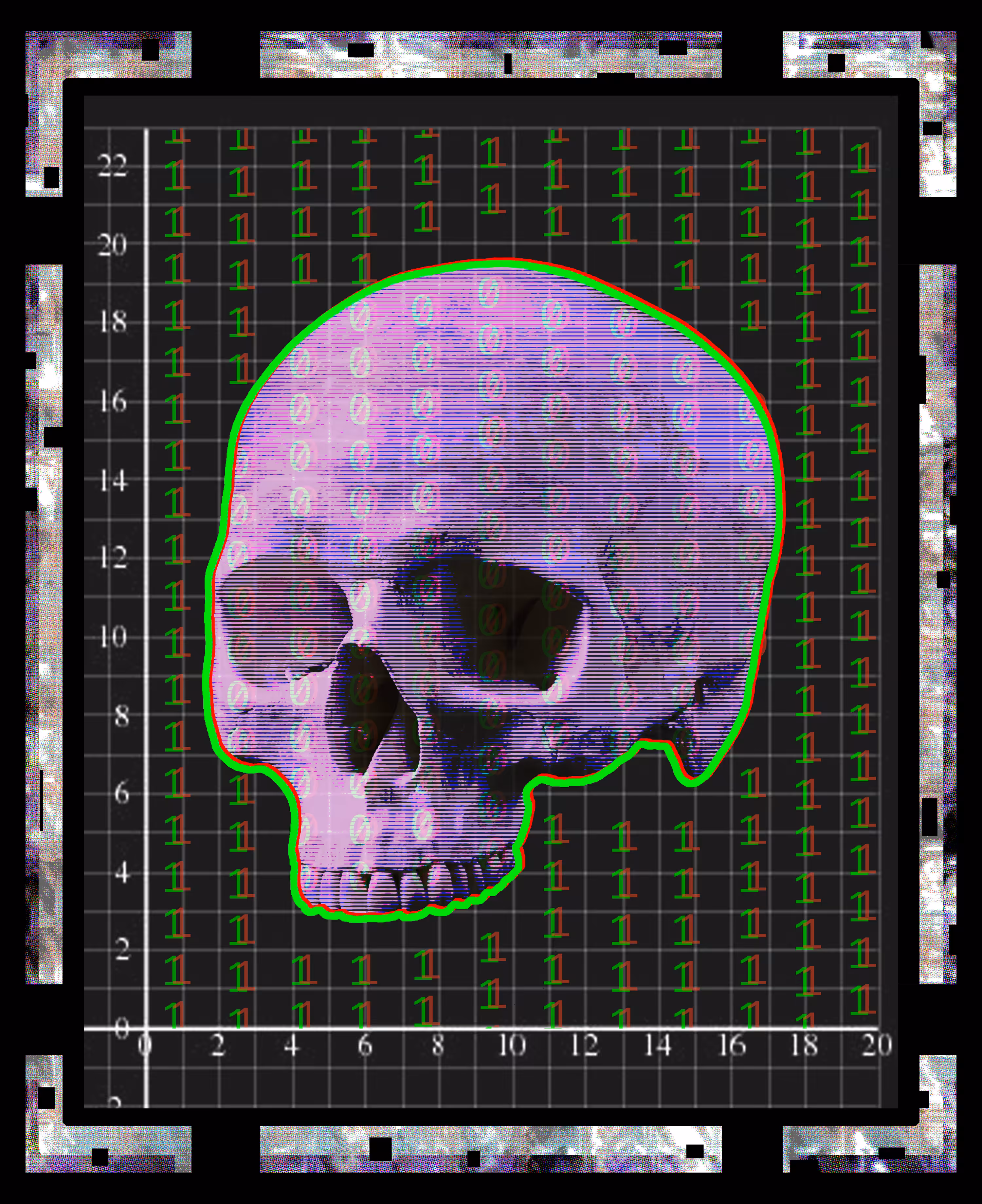 Digital Skull