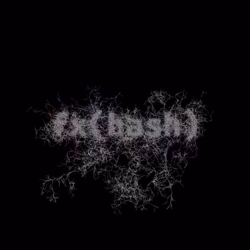 FXHASH Logo with Features #501