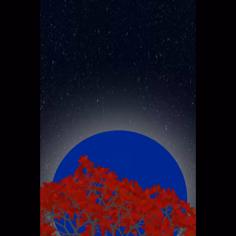Moonlight Sonata #123