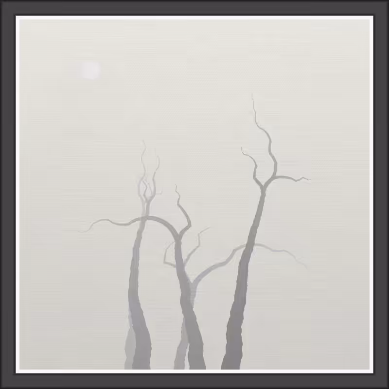 The Foggy Trees #75