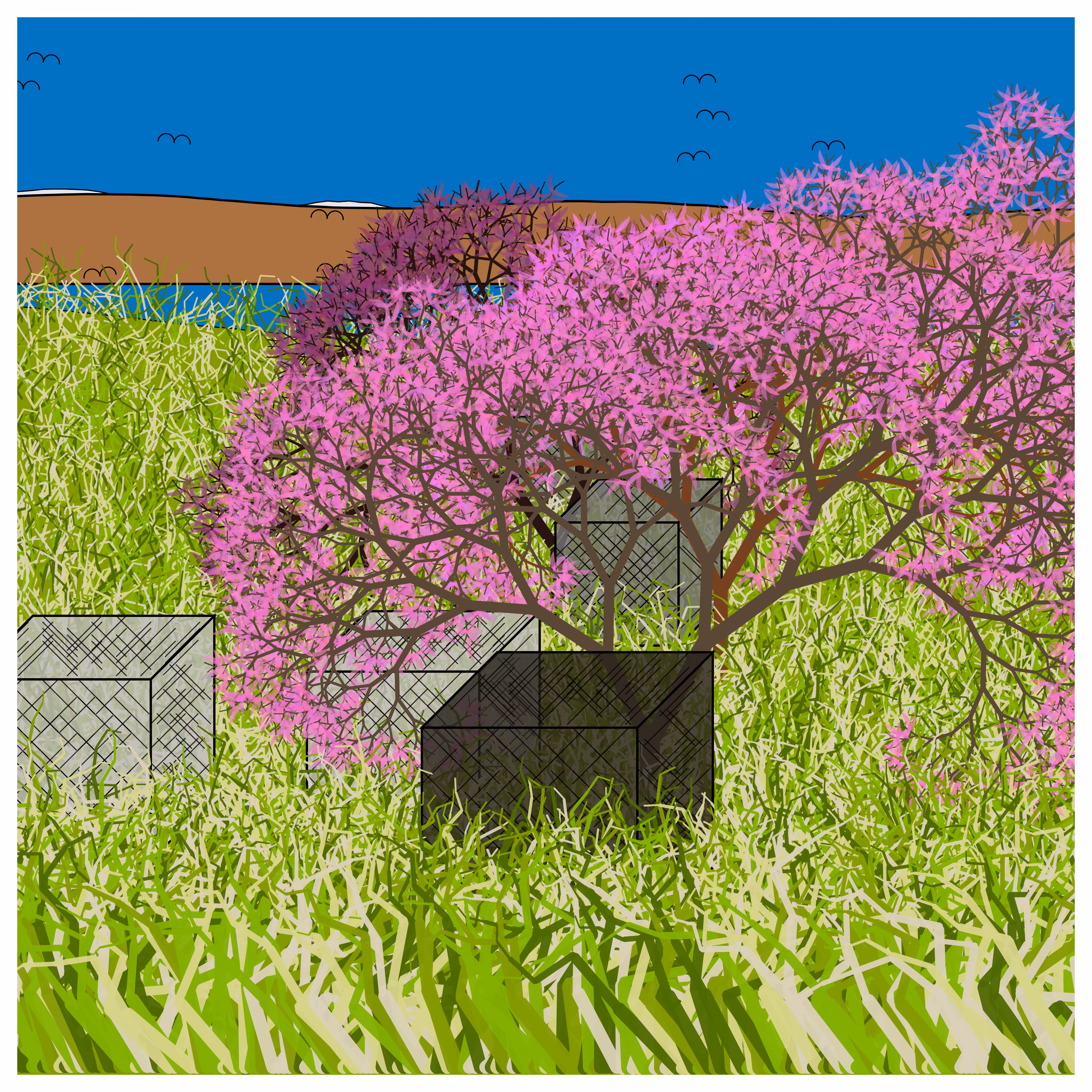 Cube Forest #72