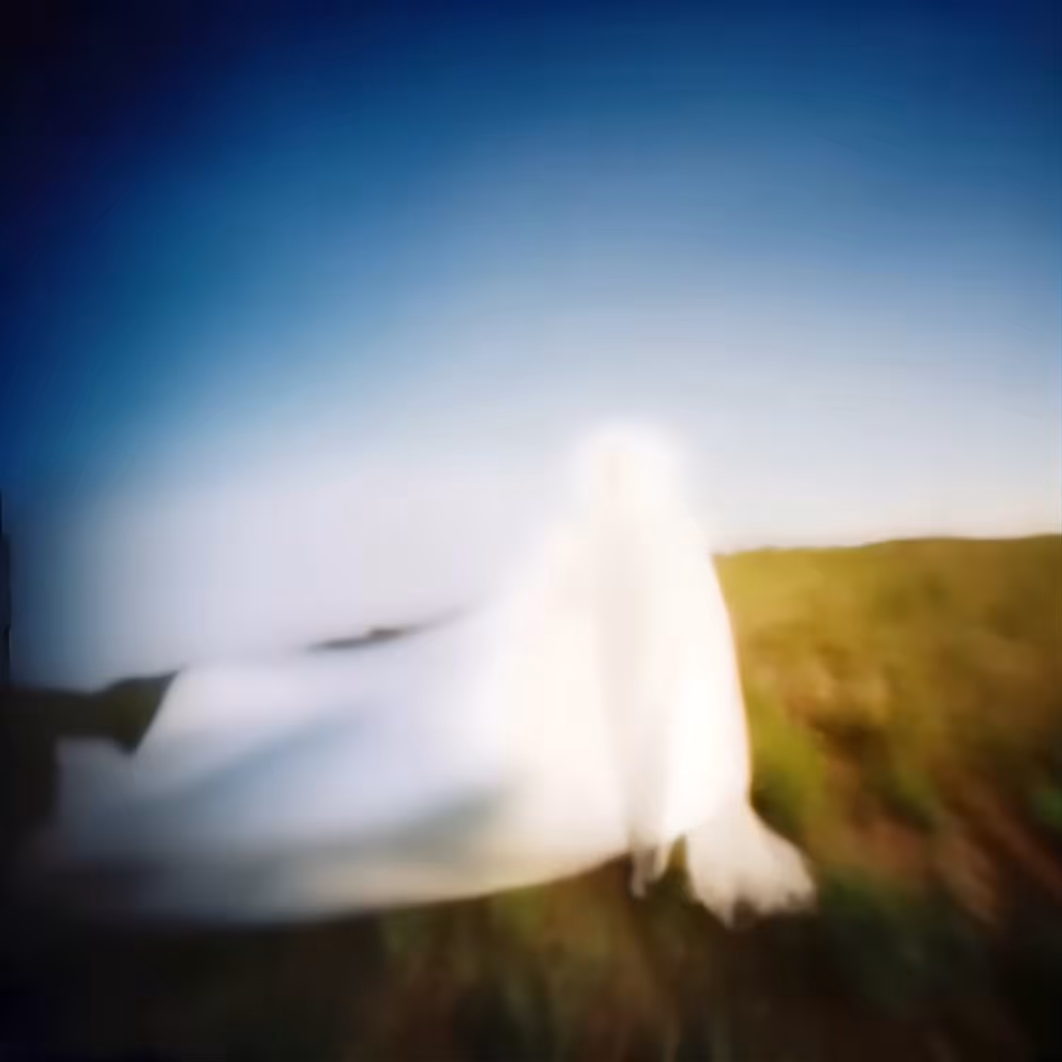 pale light