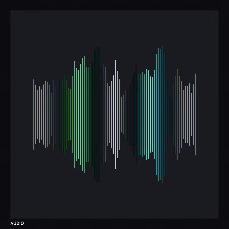 AUDIO #1