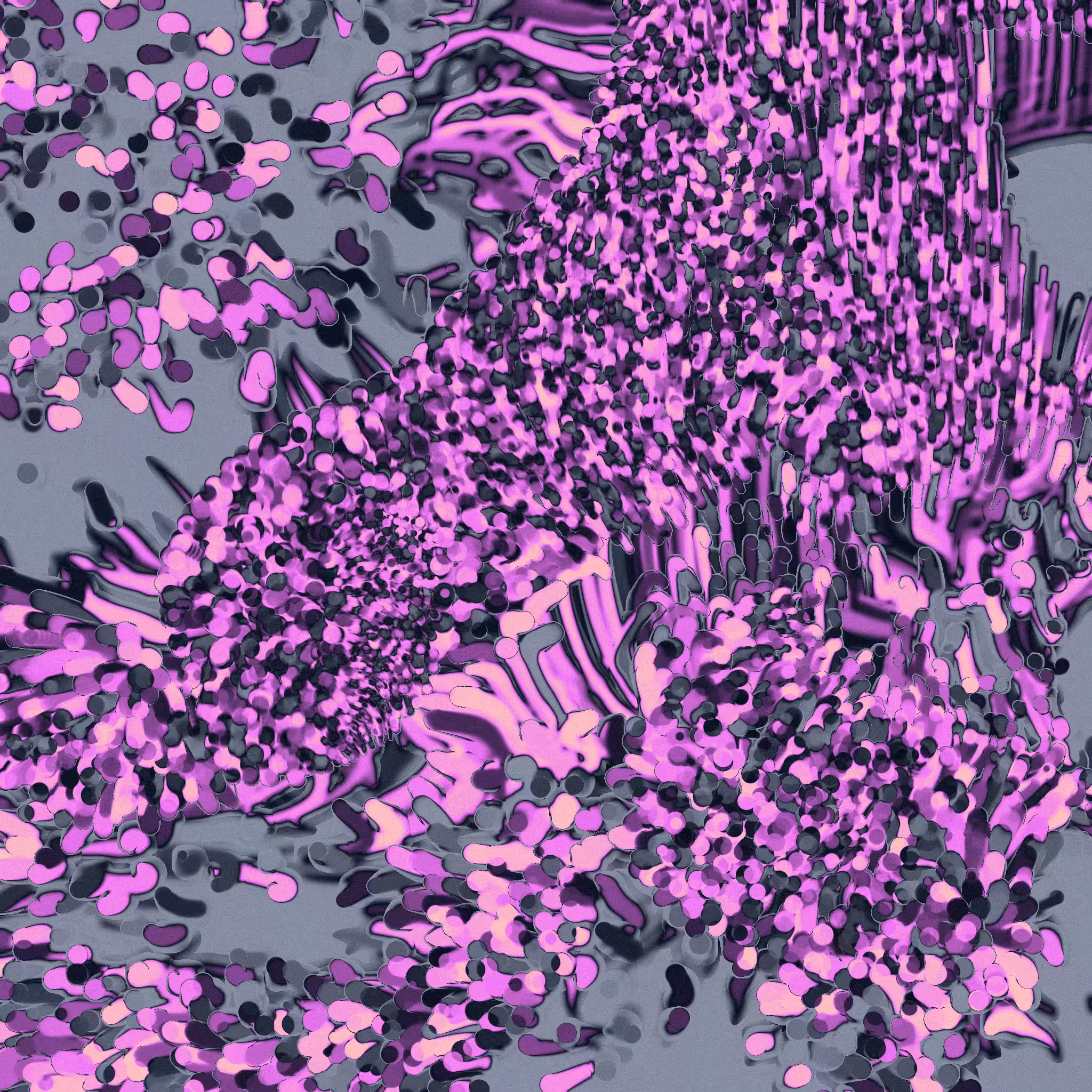 motion #38