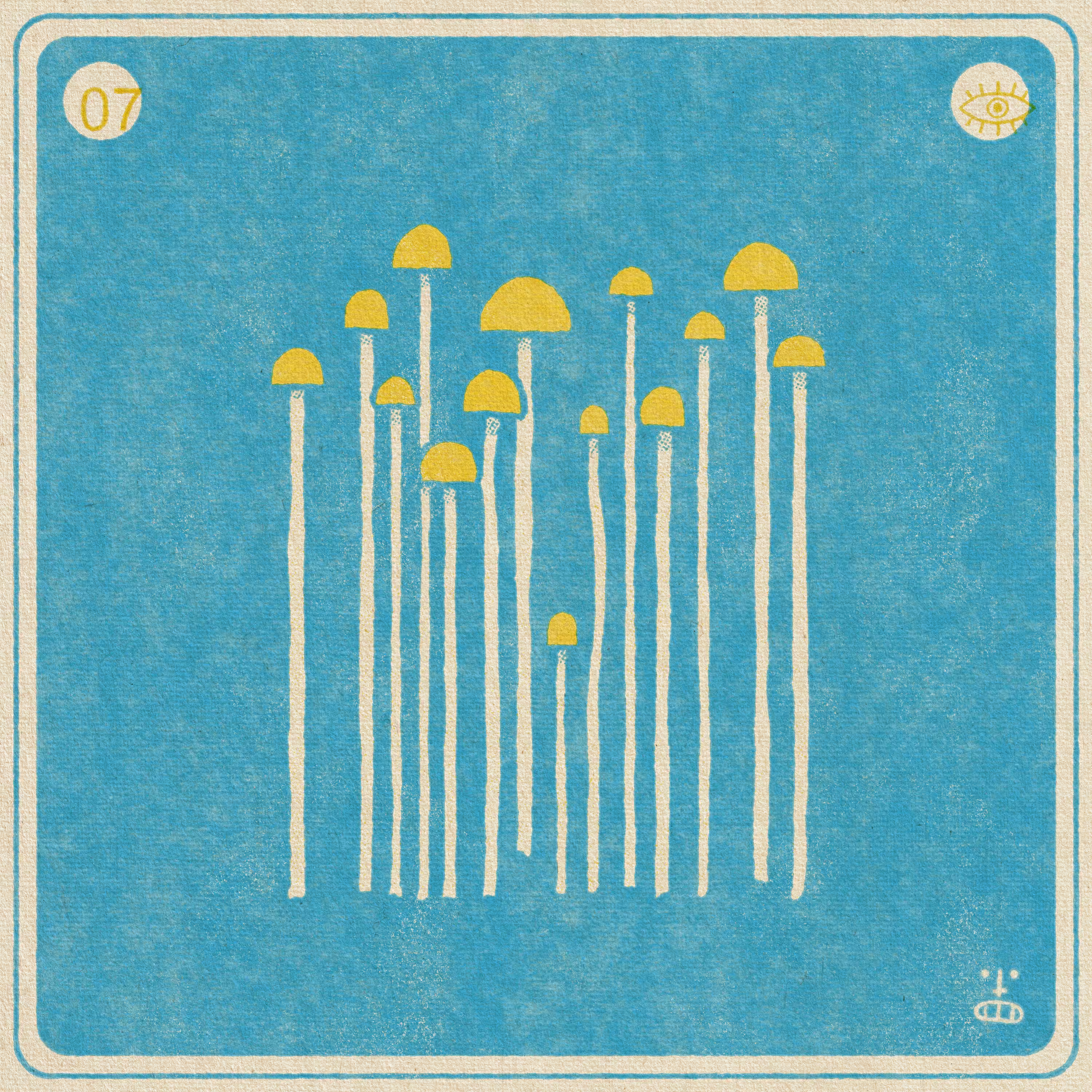 7- Panaeolus Cyanescens