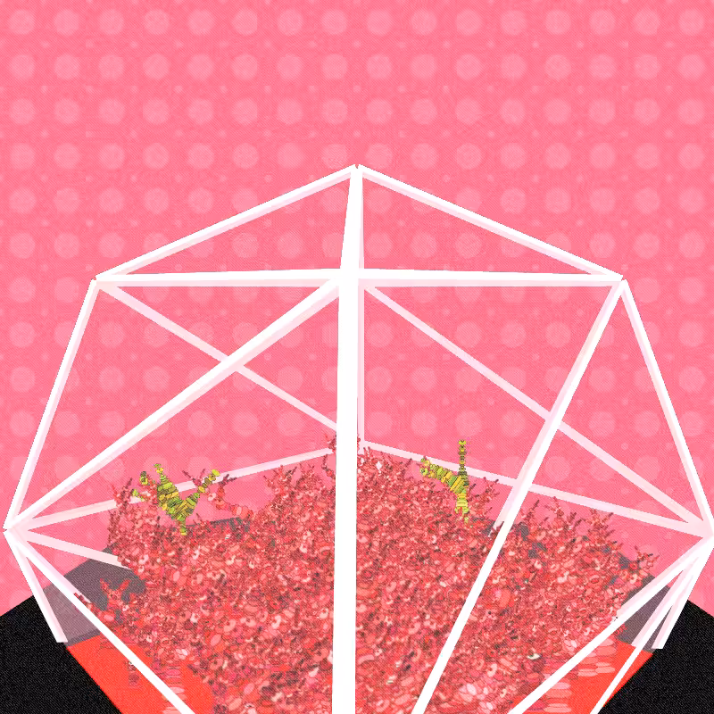 Fantastical Terrariums #30