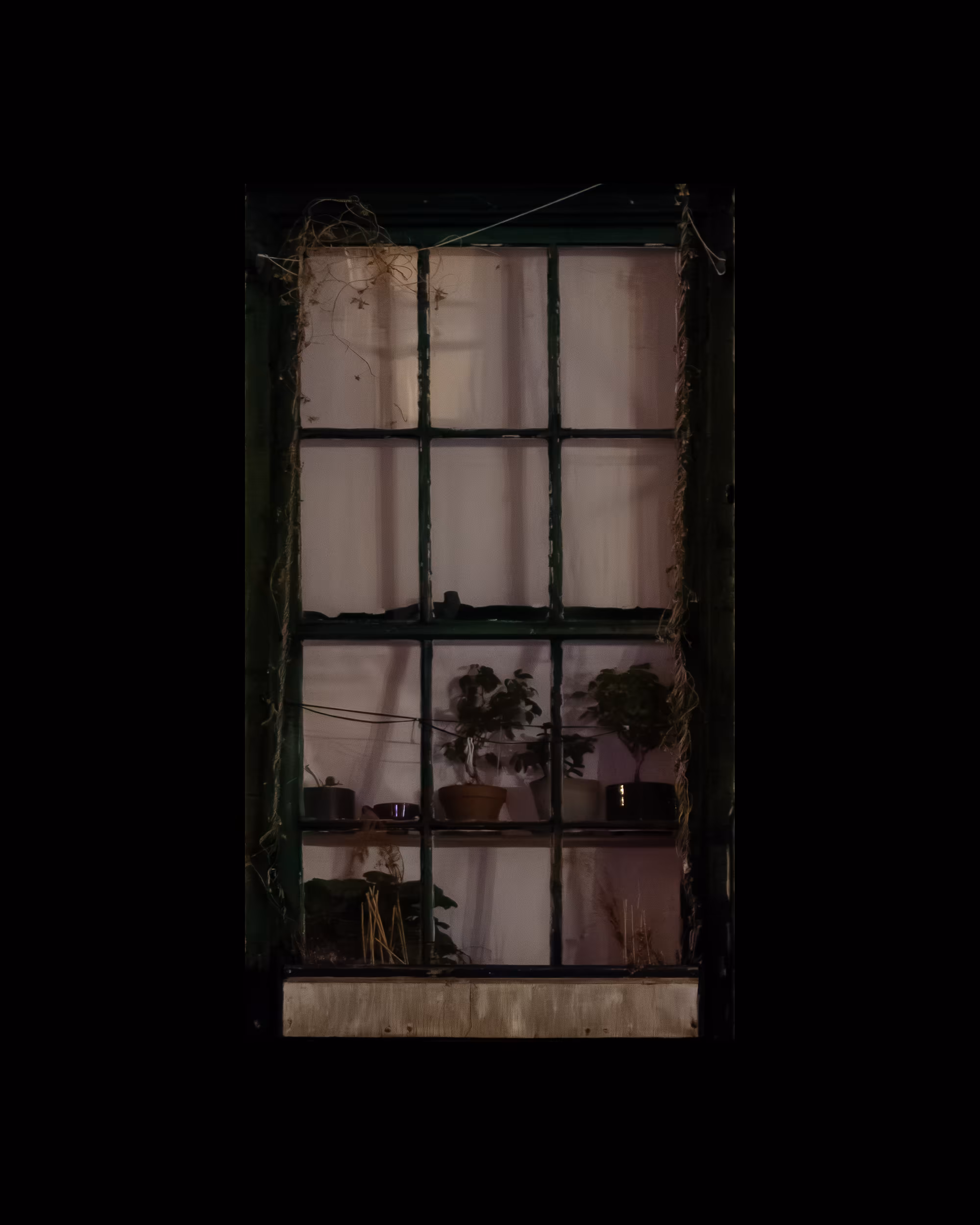 WINDOW 332