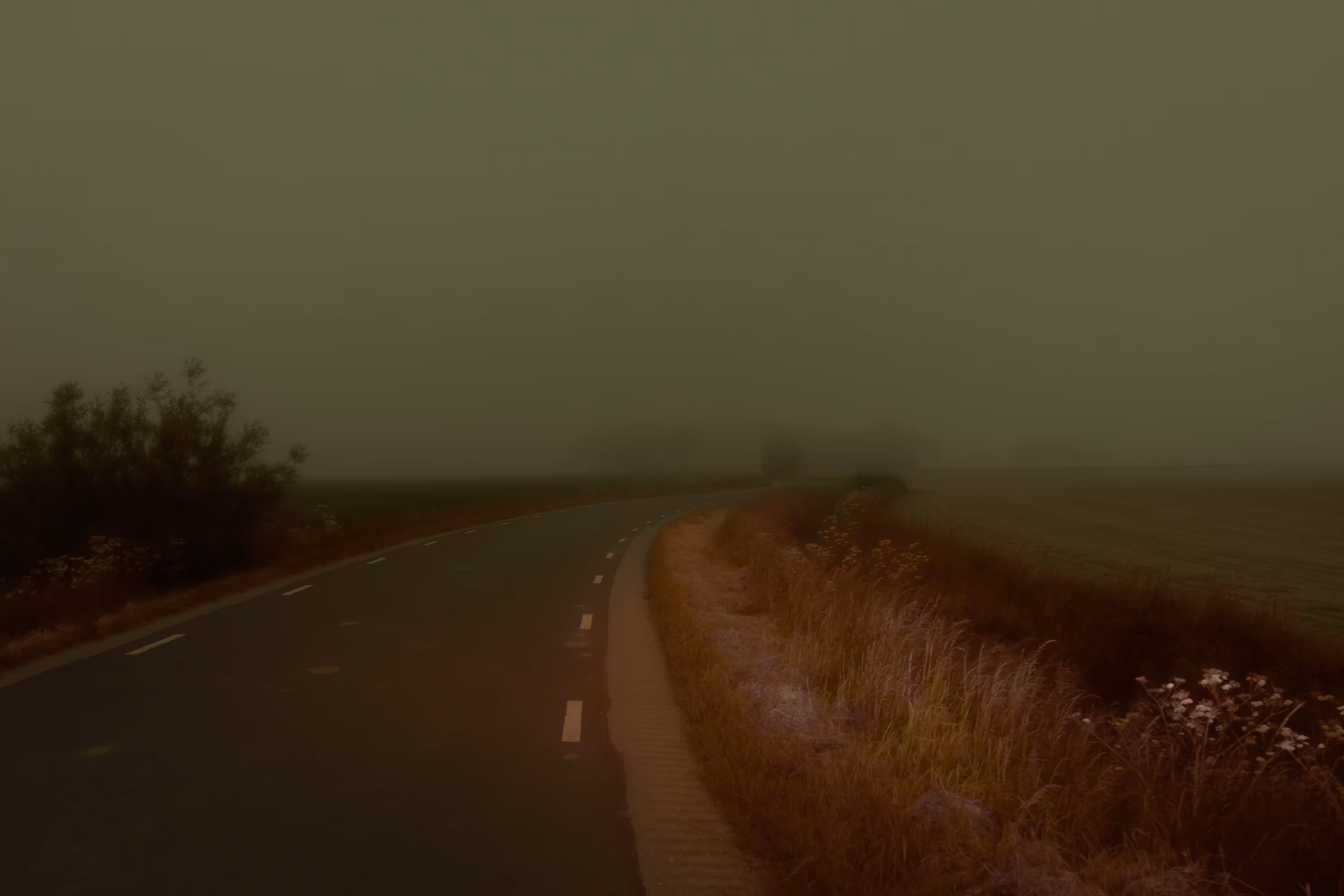 Foggy Memories 03