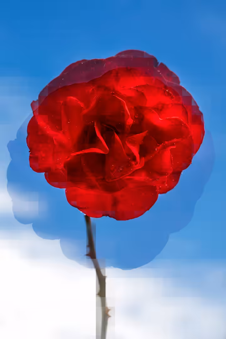 Flower #06