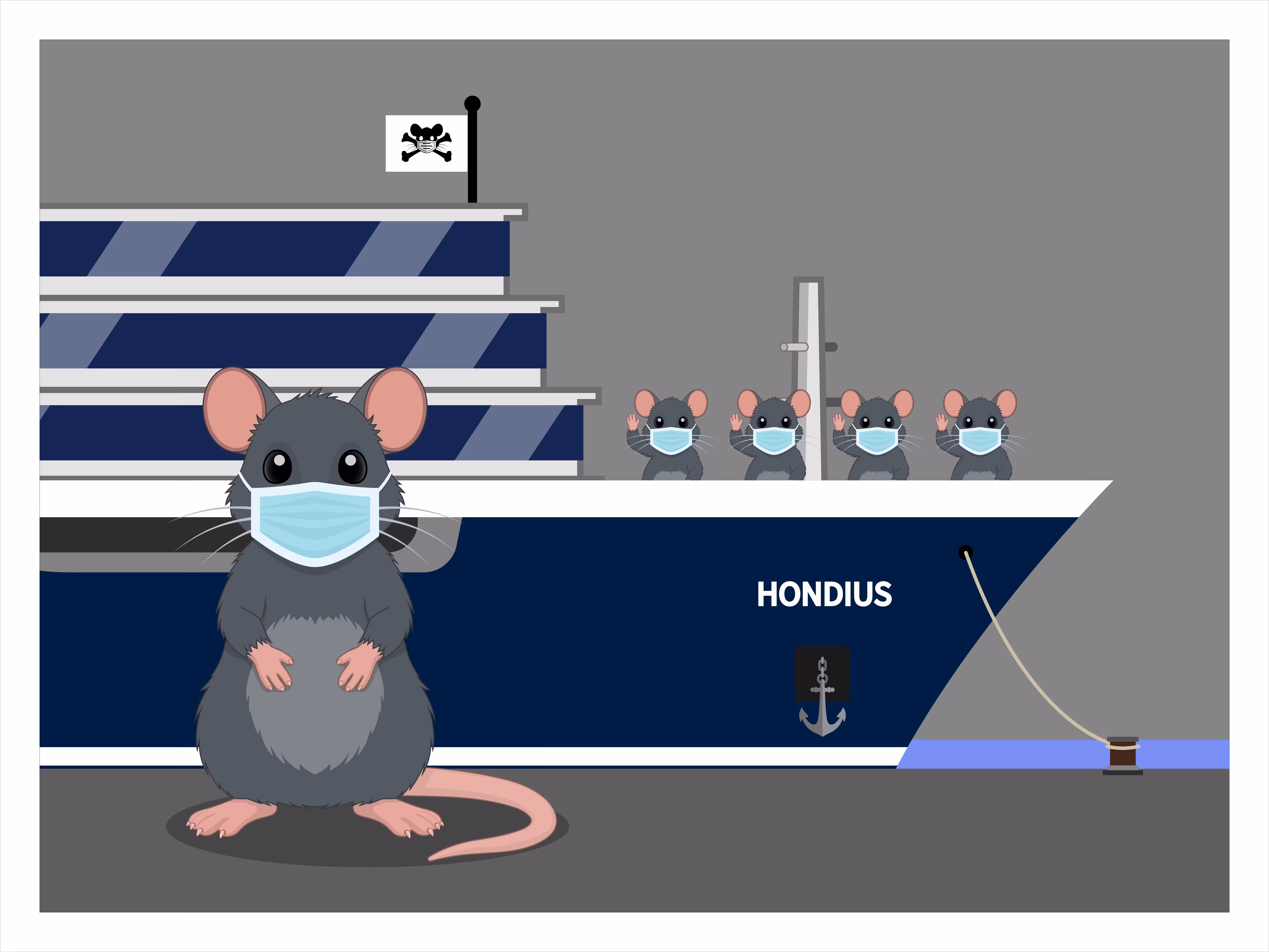 Hanta Montanta Virus