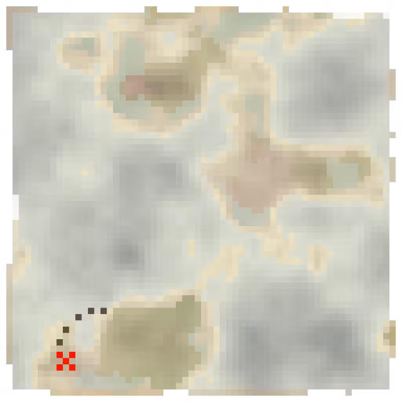 TREASURE MAPZ #164