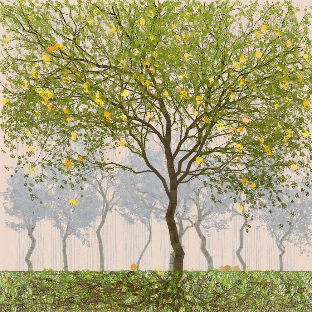 Orchard #255