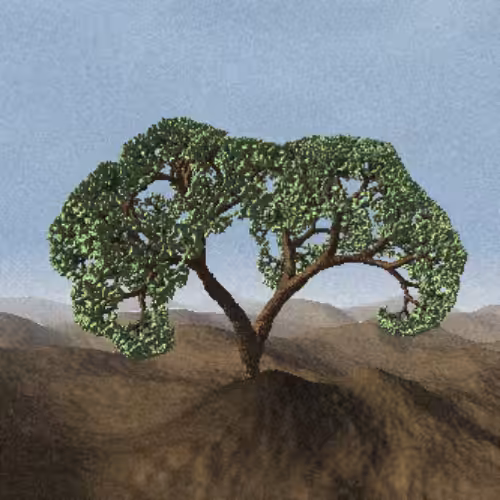 Lonely Tree #56
