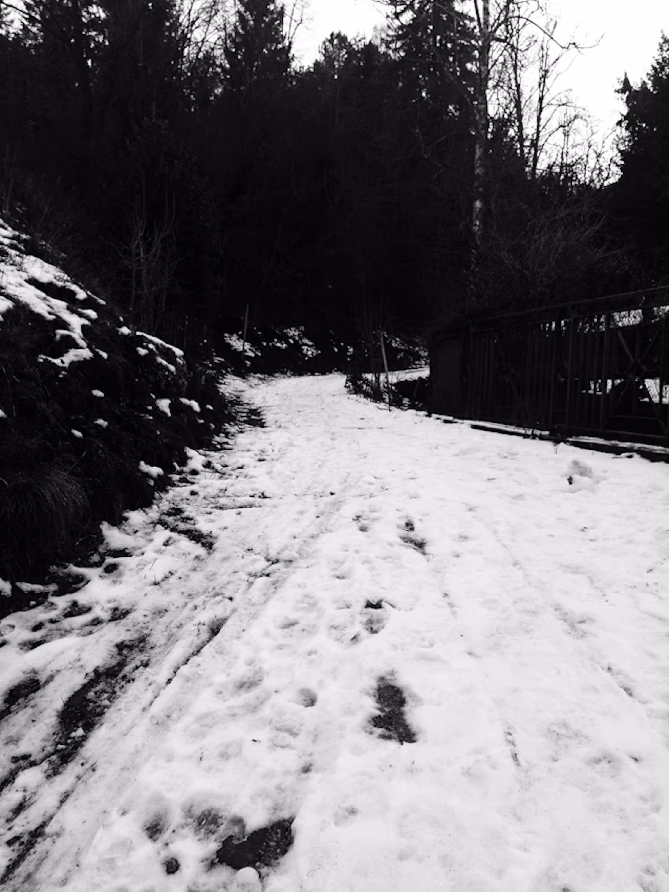 Sentiero d'inverno