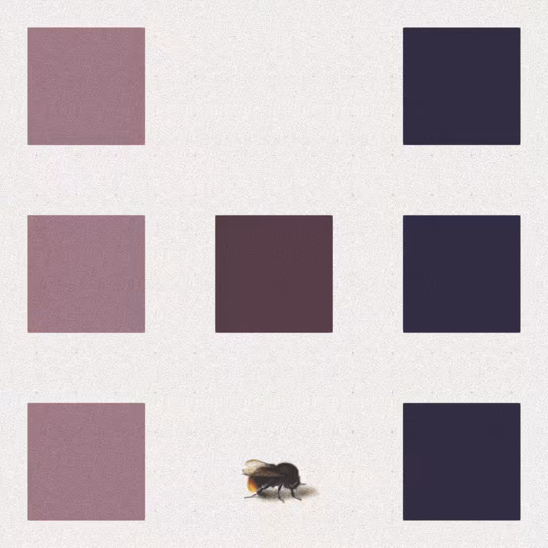 Bee #25